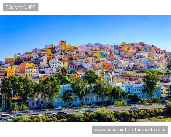 拉斯帕尔马斯最新战绩解析与未来赛季阵容调整展望