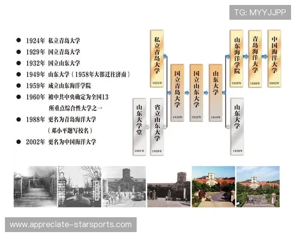 南安普顿足球俱乐部历史沿革与未来发展战略全解析